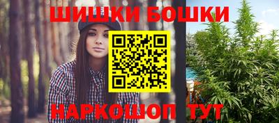 шишки Берёзовский