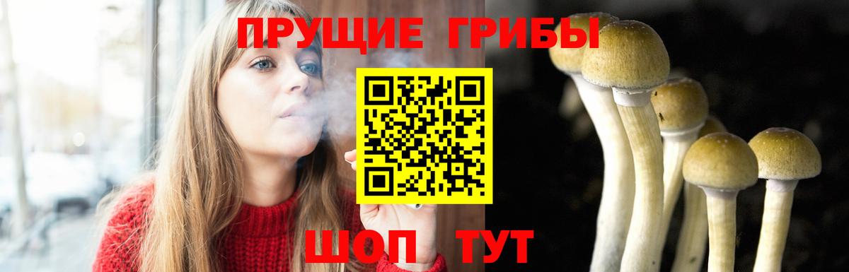 Галлюциногенные грибы Psilocybine cubensis  Вход с VPN  Ипатово 